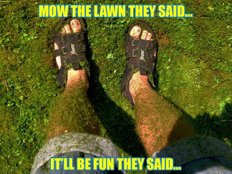 Zero Lawn Maintenance