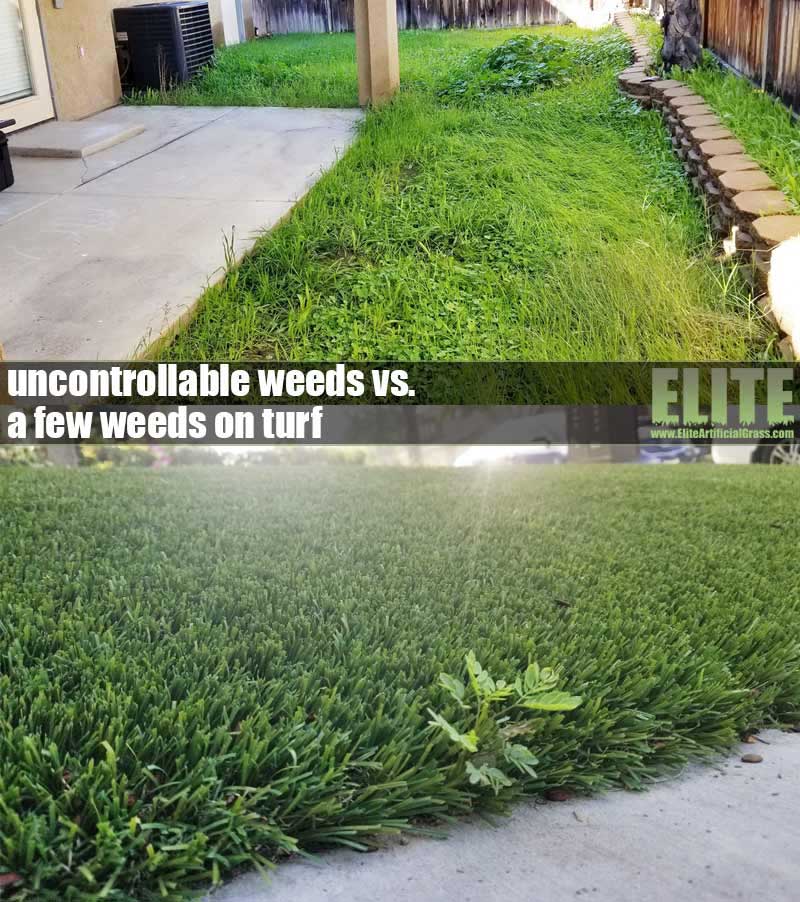 Weeds vs Artificial Turf