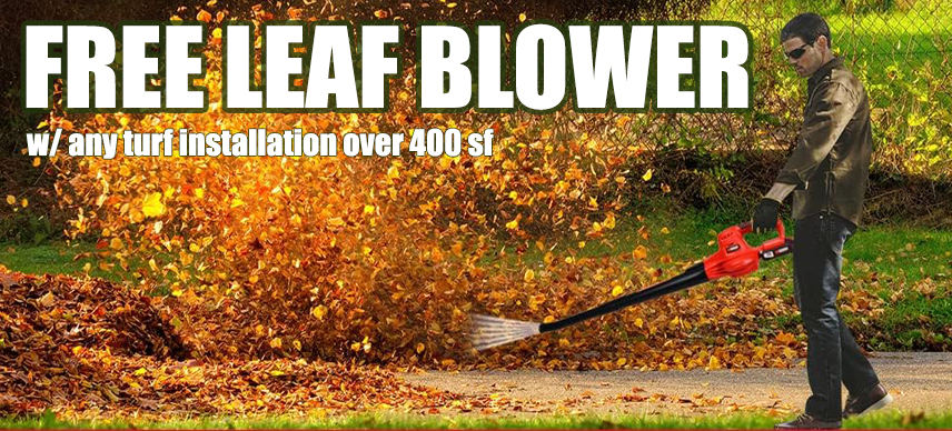 Free Leaf Blower